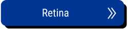 retina