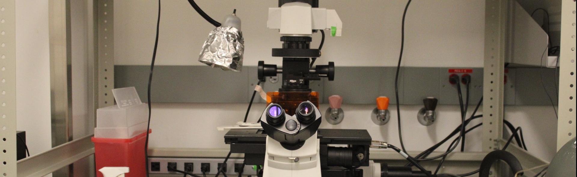 Biomedical Visualization Laboratory
