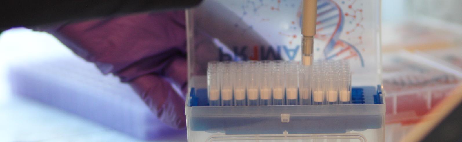 Retinal Epigenetics and Genomics Laboratory