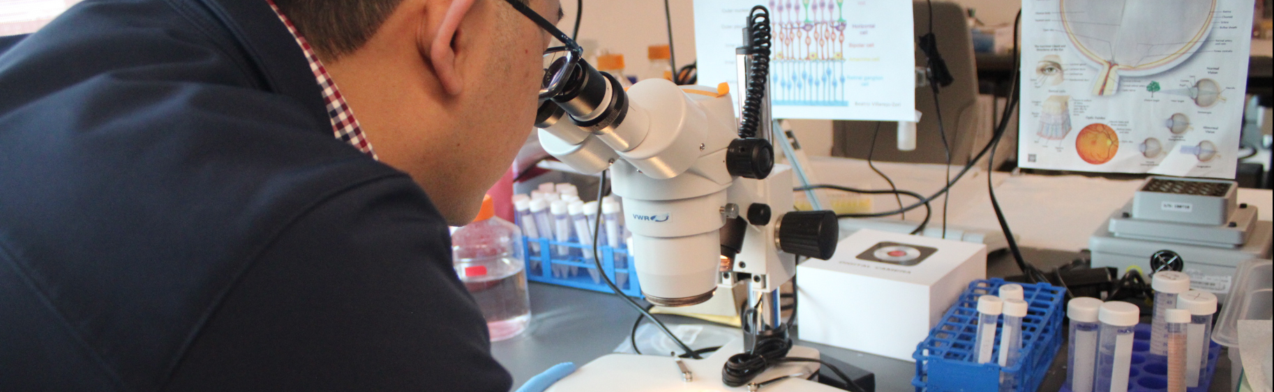 Stem Cell and Neuroregeneration Laboratory