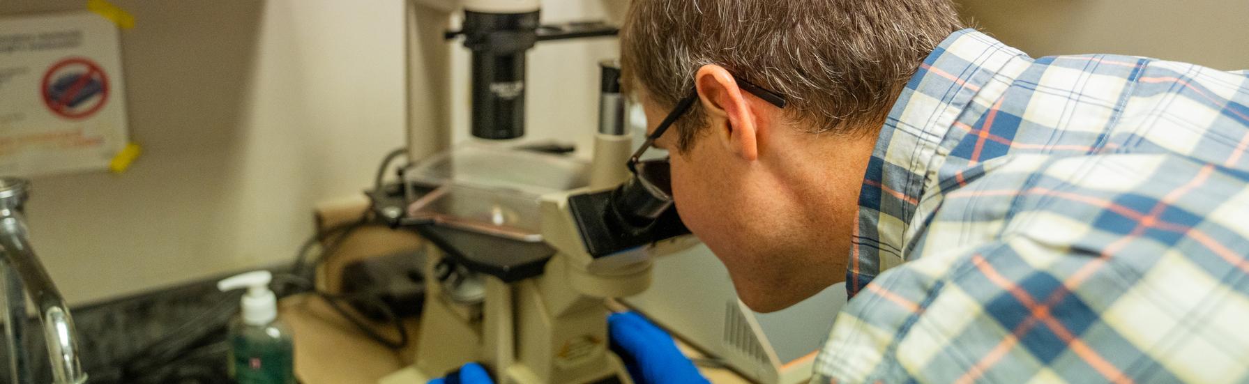 Ocular Microbiome and Immunology Laboratory