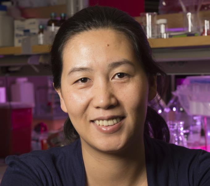 Yuanyuan Chen, PhD