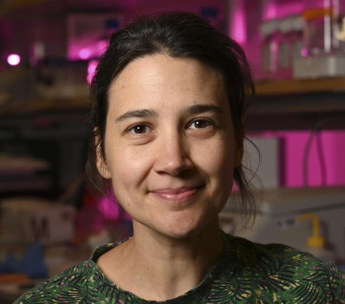 Susana da Silva, PhD
